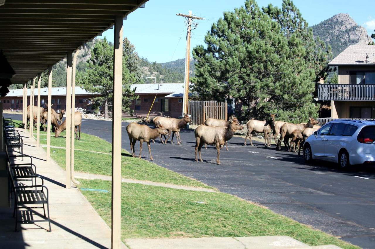 Quality Inn Near Rocky Mountain National Park Естес Парк Екстериор снимка