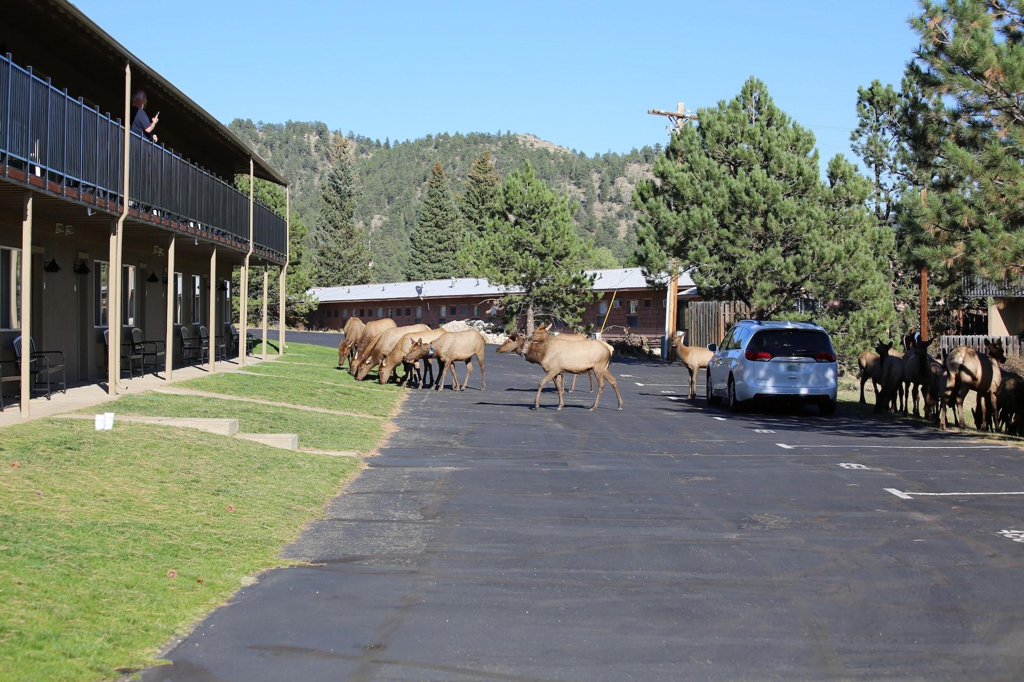Quality Inn Near Rocky Mountain National Park Естес Парк Екстериор снимка